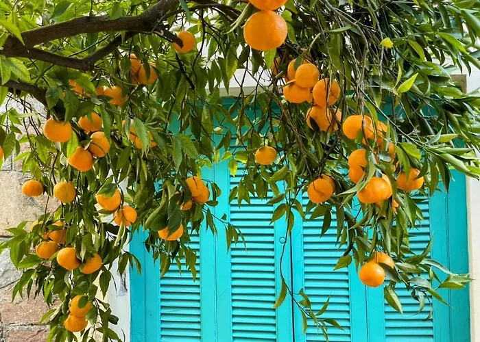 Peculiar Garden Apartment