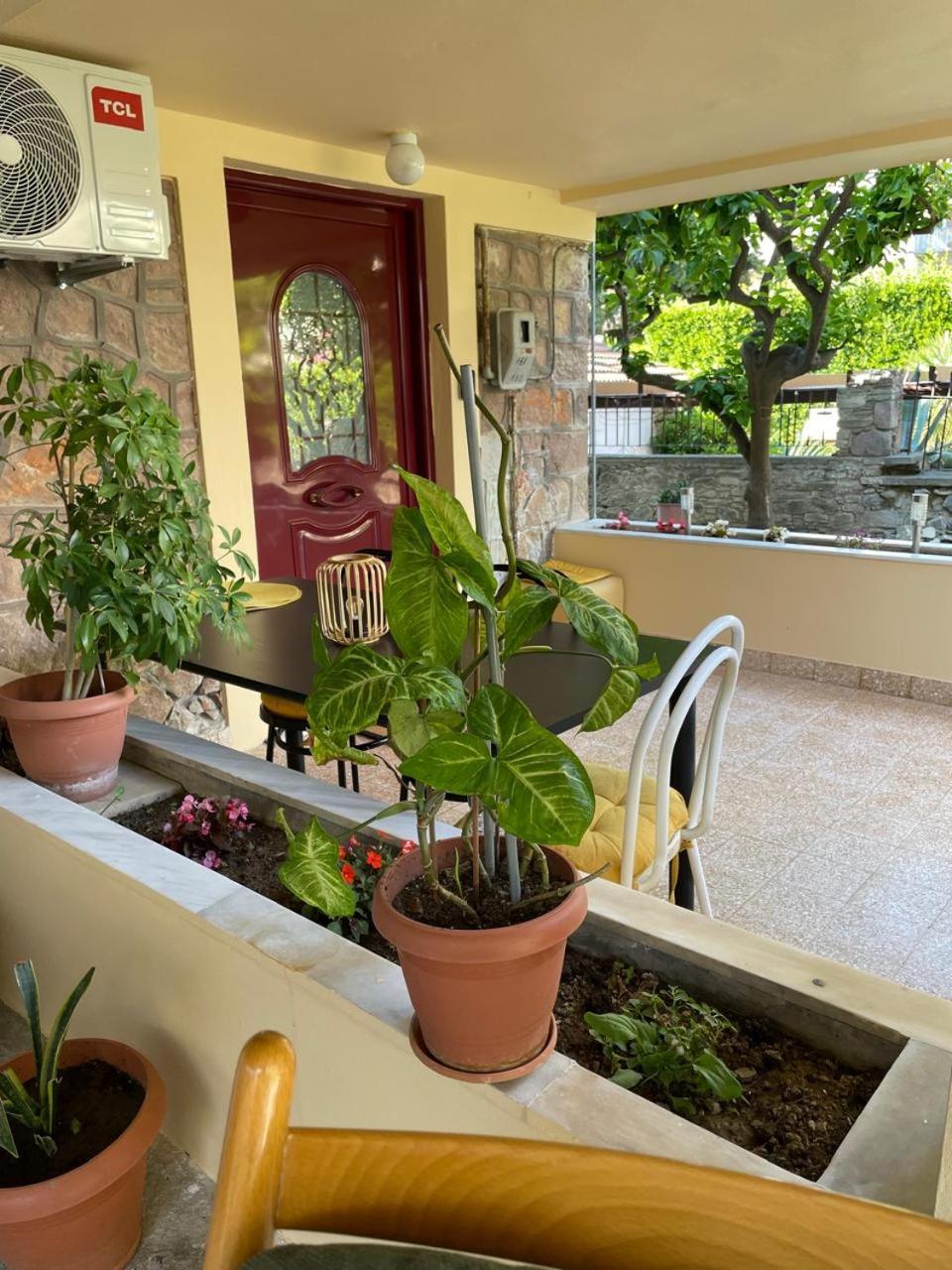Peculiar Garden Apartment