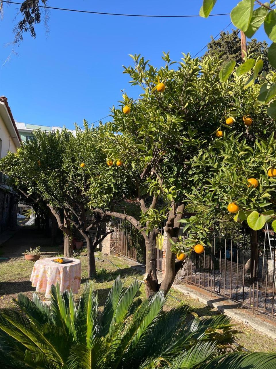 Apartment Peculiar Garden Mytilene